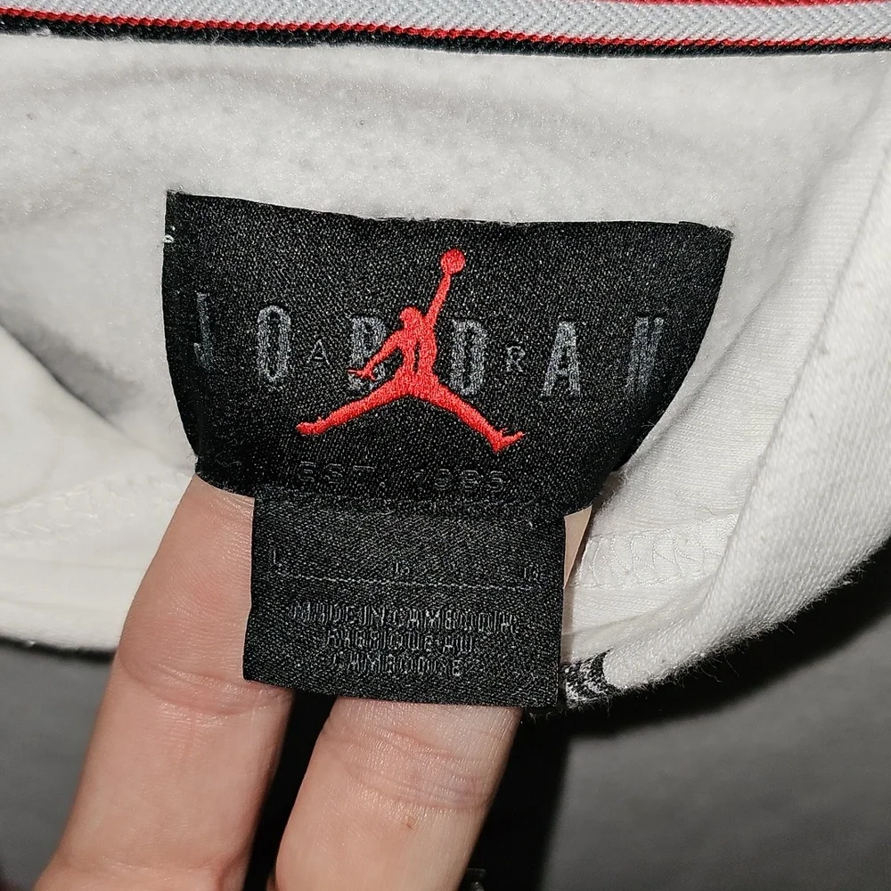Air Jordan Mens Super Awesome Hoodie!! Size Large!!